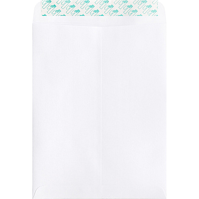 Business Source Self Sealing Catalog Envelope (BSN65450)