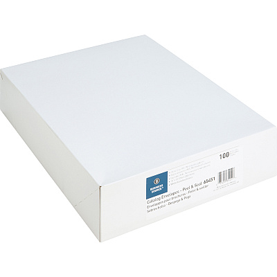 Business Source Self Sealing Catalog Envelopes (BSN65451)