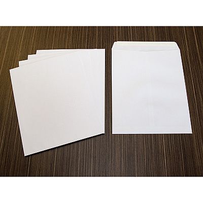 Business Source Self Sealing Catalog Envelopes (BSN65451)