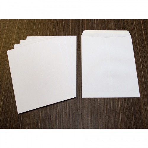 Business Source Self Sealing Catalog Envelopes (65451)