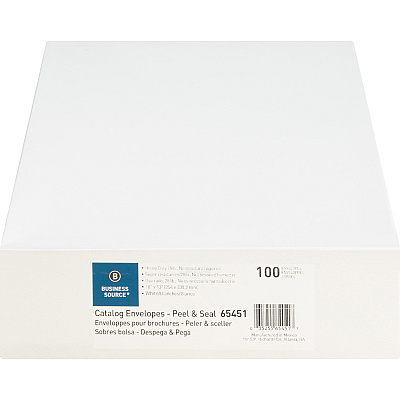 Business Source Self Sealing Catalog Envelopes (BSN65451)