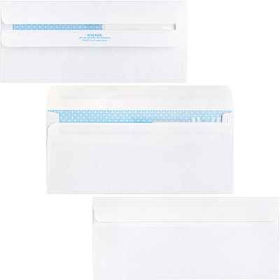 Business Source No. 9 Double Window Invoice Envelopes (BSN36681)
