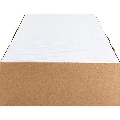 Business Source No. 9 Double Window Invoice Envelopes (BSN36681)