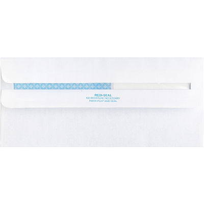 Business Source No. 9 Double Window Invoice Envelopes (BSN36681)