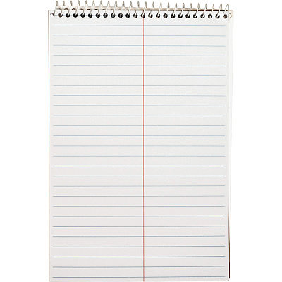 Business Source Steno Notebook (BSN26740)