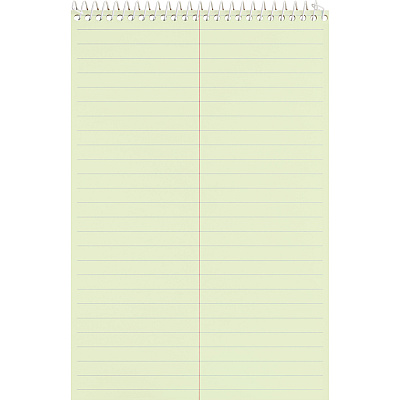 Business Source Steno Notebook (BSN26741)
