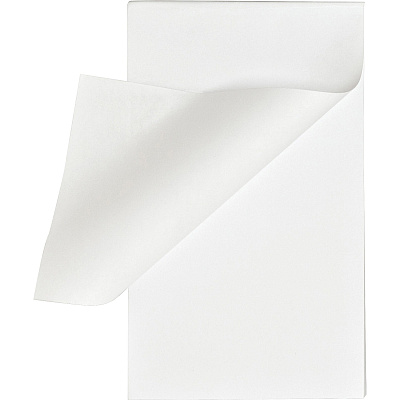 Business Source Plain Memo Pads (BSN65900)