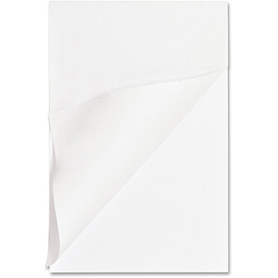 Business Source Plain Memo Pads (BSN65901)