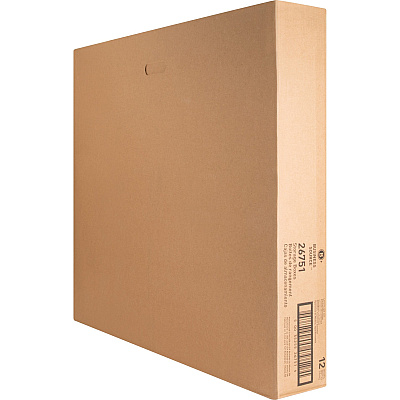 Business Source Economy Medium-duty Storage Boxes (BSN26751)