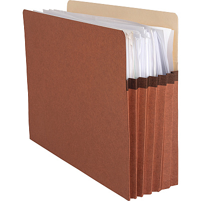 Business Source Straight Tab Cut Letter Recycled File Pocket (BSN65792)