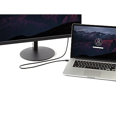 StarTech 10ft 3m Mini Dp To Displayport 1.2 Cable (MDP2DPMM10)