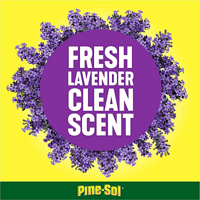 Pine-Sol Multi-Surface Cleaner (CLO40272)