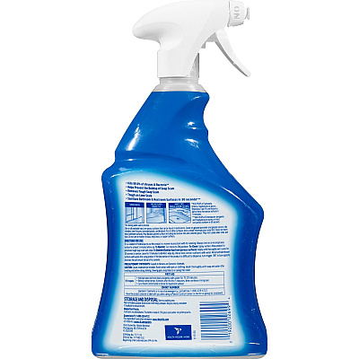 LYSOL Bathroom Cleaner Spray (RAC02699CT)