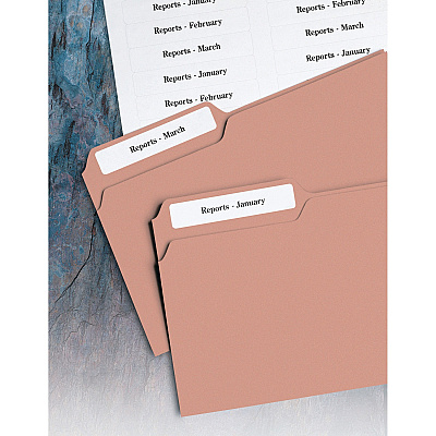 Avery EcoFriendly File Folder Label (AVE48266)