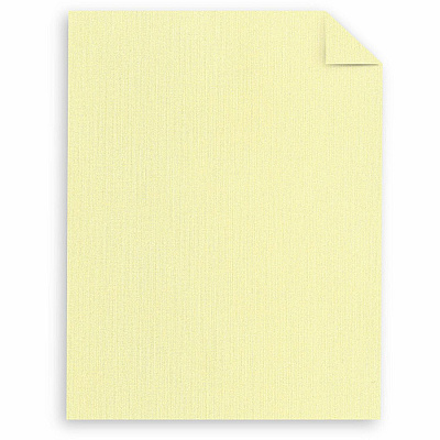 Classic Premium Paper - Ivory (NEE05221)