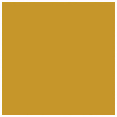 Astrobrights Colored Cardstock - Gold (WAU22771)