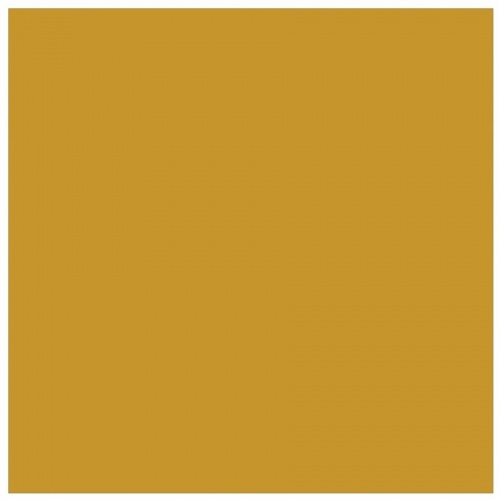 Astrobrights Colored Cardstock - Gold (22771)