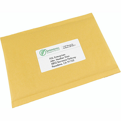 Avery EcoFriendly Shipping Label (AVE48263)