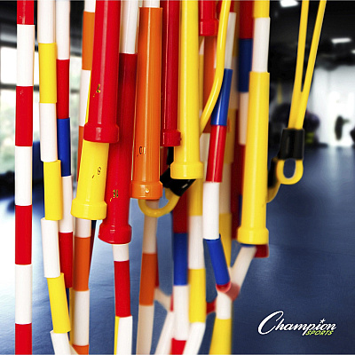 Champion Sports Variety Playground Set (CSIUPGSET2)