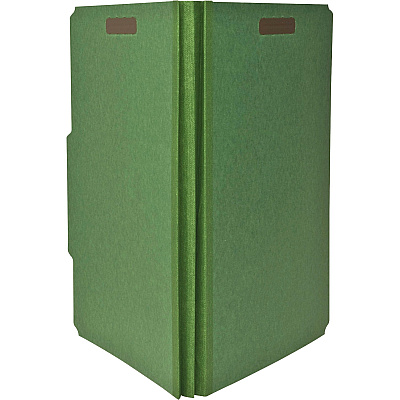 Nature Saver Letter Recycled Classification Folder (NATSP17203)