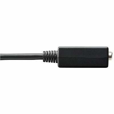 Eaton Tripp Lite Series DisplayPort to VGA Active Adapter Video Converter (M/F), 6-in. (15.24 cm) (P13406NVGA)