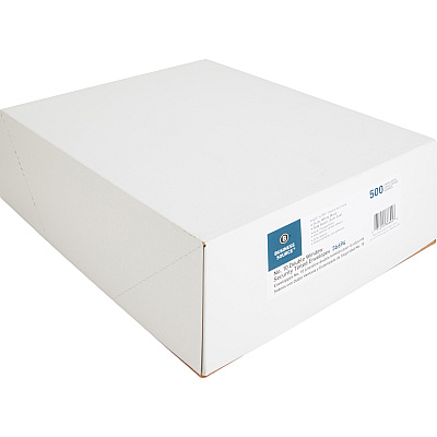 Business Source No. 10 Double-Window Invoice Envelopes (BSN36694)