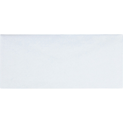 Business Source No.10 Regular Tint Security Envelopes (BSN42206)