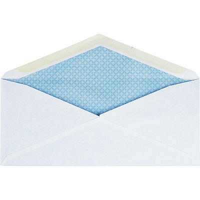 Business Source No.10 Regular Tint Security Envelopes (BSN42206)
