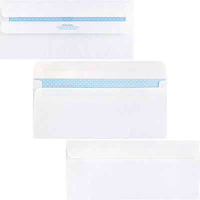 Business Source No.10 Standard Window Invoice Envelopes (BSN42207)