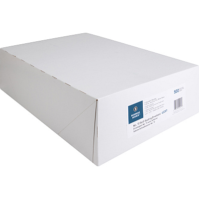 Business Source No.10 Standard Window Invoice Envelopes (BSN42207)