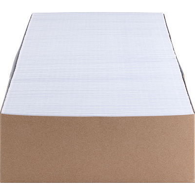 Business Source No.10 Standard Window Invoice Envelopes (BSN42207)