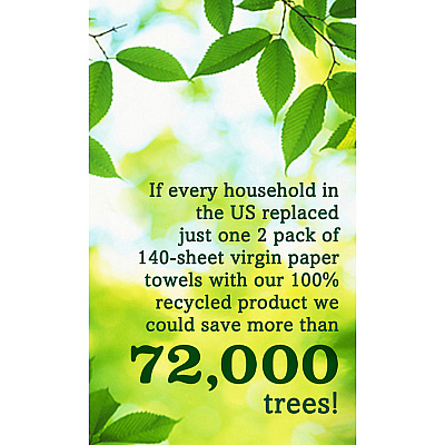 Seventh Generation 100% Recycled Paper Towels (SEV13731PK)