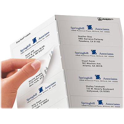Avery Shipping Labels, Sure Feed, 2" x 4" , 100 Clear Labels (AVE18663)