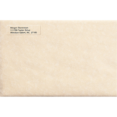 Avery Easy Peel Return Address Labels (AVE15667)