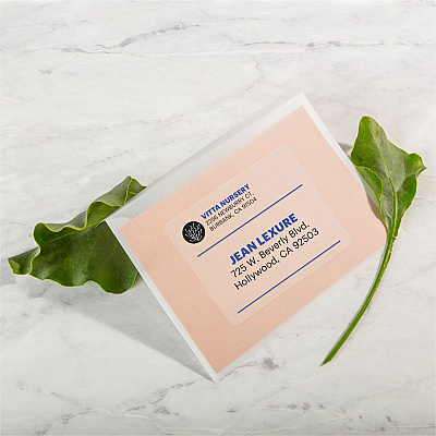 Avery Clear Shipping Labels, Sure Feed, 2" x 4" , 100 Labels (AVE15663)