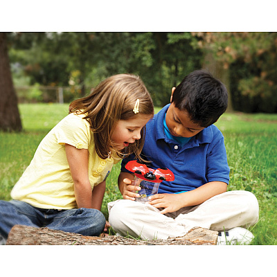 Learning Resources Big View Bug Jars Set (LRNLER2781)