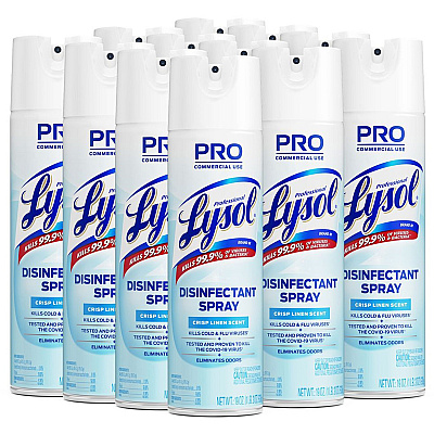 Professional LYSOL Disinfectant Spray (RAC74828EA)