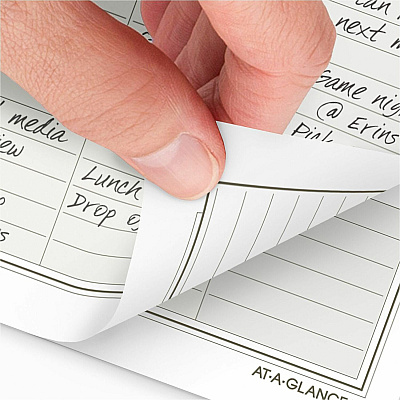 At-A-Glance Daily Monthly Planner Two Page Per Day Refill, Loose-Leaf, Desk Size (481225A)