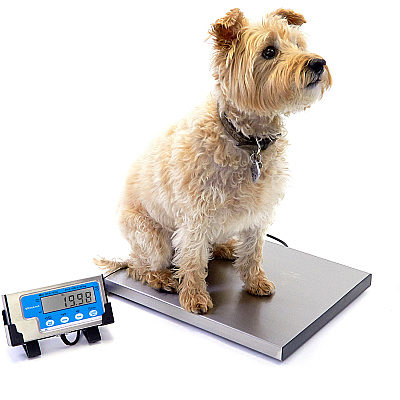 Brecknell Portable Shipping Scale (SBWLPS400)