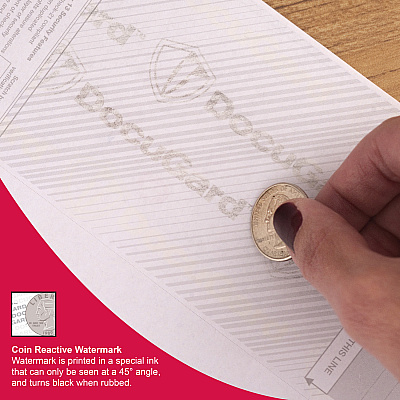 DocuGard Security Blue Marble Business Checks with 11 Features to Prevent Fraud (PRB04509)