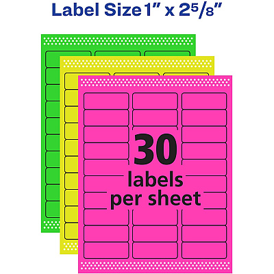 Avery Multipurpose Label (AVE6479)