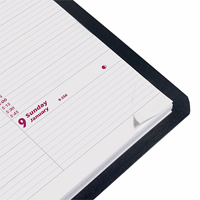 Brownline Essential Appointment Book/Planner (CB950BLK)