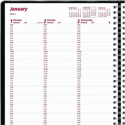 Brownline Essential Appointment Book/Planner (CB950BLK)