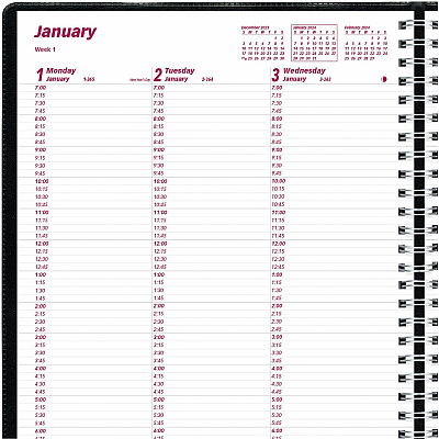 Brownline Essential Appointment Book/Planner (CB950BLK)