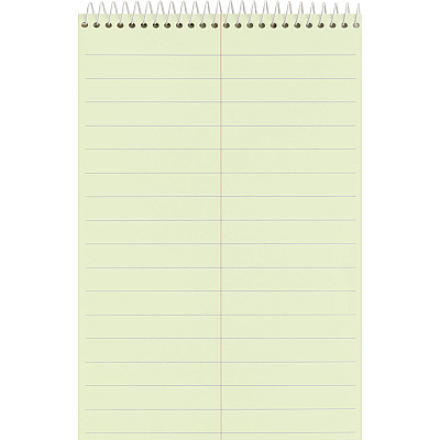 Business Source Steno Notebook (BSN26742)