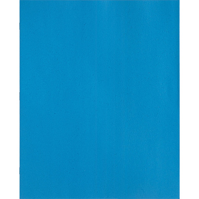 Business Source Letter Recycled Pocket Folder (BSN78507)
