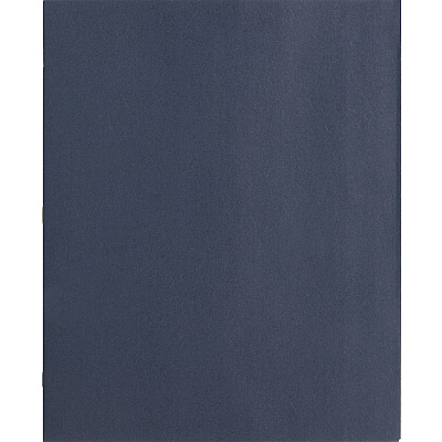 Business Source Letter Recycled Pocket Folder (BSN78508)