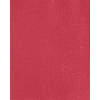 Business Source Letter Recycled Pocket Folder (BSN78510)