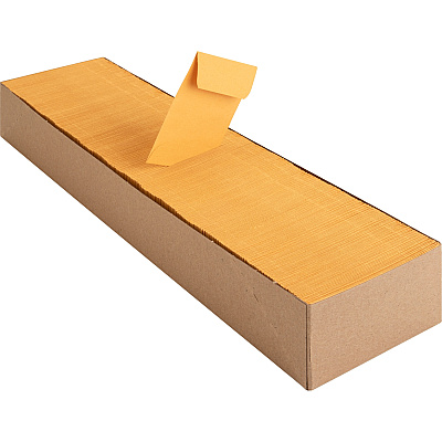 Business Source Small Coin Kraft Envelopes (BSN04440)