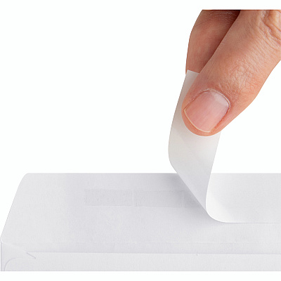 Business Source Plain Peel/Seal Business Envelopes (BSN04646)